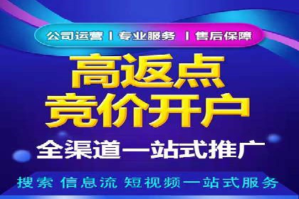 SEM竞价推广案例：打造行业领先的广告投放策略